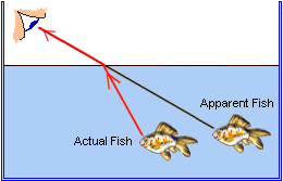 http://survivingtech.com/wp-content/uploads/2012/05/refraction-fish.gif