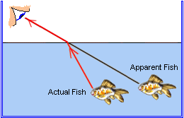 When spear fishing, do you have to aim above or below where you see the fish  in the water? - Quora